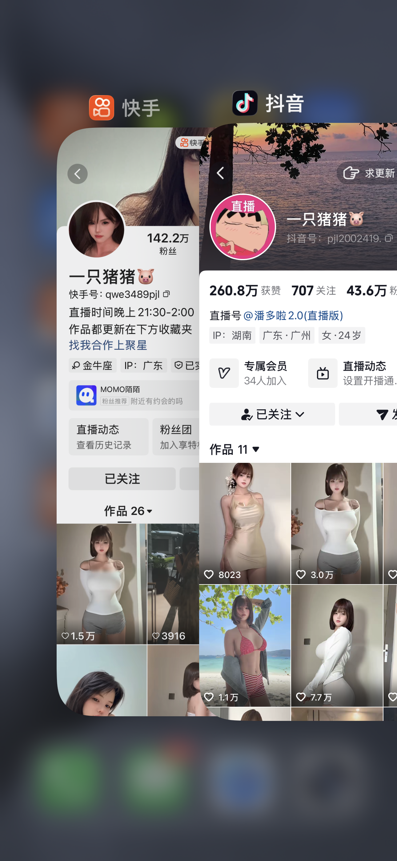 快手一只猪猪私人定制